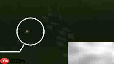 光遇1.21蜡烛速刷指南