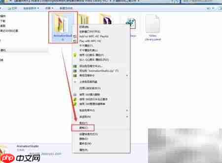 AE插件Video Library v4.2安装指南  第2张