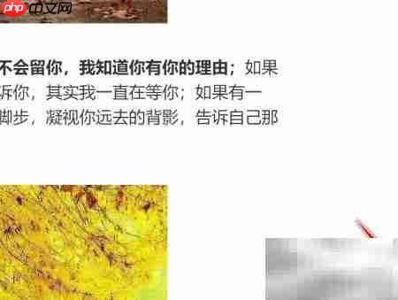 学习通投屏文档演示技巧  第3张