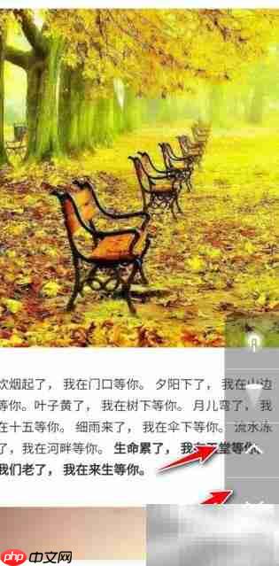 学习通投屏文档演示技巧  第4张