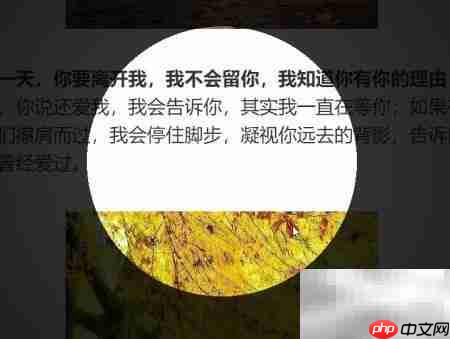 学习通投屏文档演示技巧  第6张