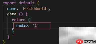 ElementUI Radio默认选中设置 第2张 ElementUI Radio默认选中设置 第2张