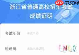 高考分数查询密码是多少  第2张