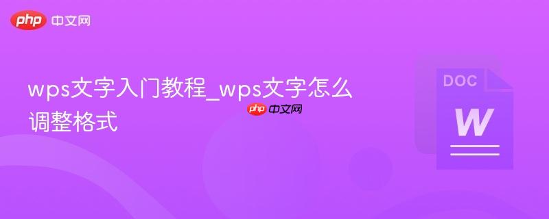 wps文字入门教程_wps文字怎么调整格式  第1张