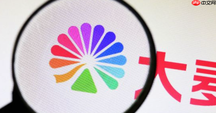 大麦APP怎么抢票 大麦抢票超详细攻略【指南】 第1张 大麦APP怎么抢票 大麦抢票超详细攻略【指南】 第1张