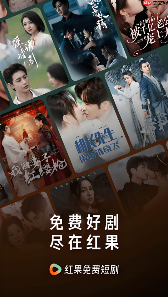 红果短剧网页版入口链接 红果短剧电脑版官方入口地址 第1张 红果短剧网页版入口链接 红果短剧电脑版官方入口地址 第1张