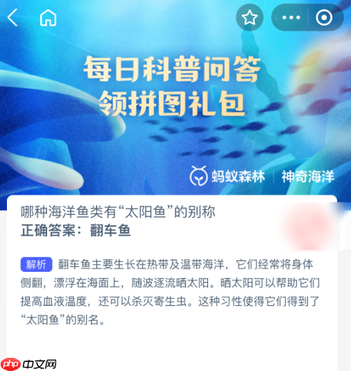 哪种海洋鱼类有太阳鱼的别称  第1张