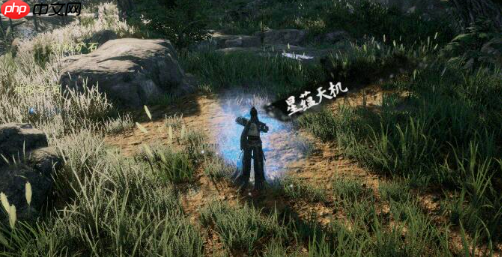 《下一站江湖2》拳法搭配攻略  第4张