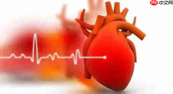 先心病是什么疾病的简称  第1张