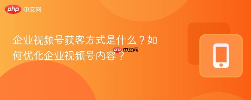企业视频号获客方式是什么？如何优化企业视频号内容？  第1张