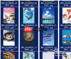 百度脑图如何批量删除导图