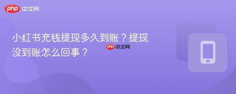 小红书充钱提现多久到账？提现没到账怎么回事？  第1张