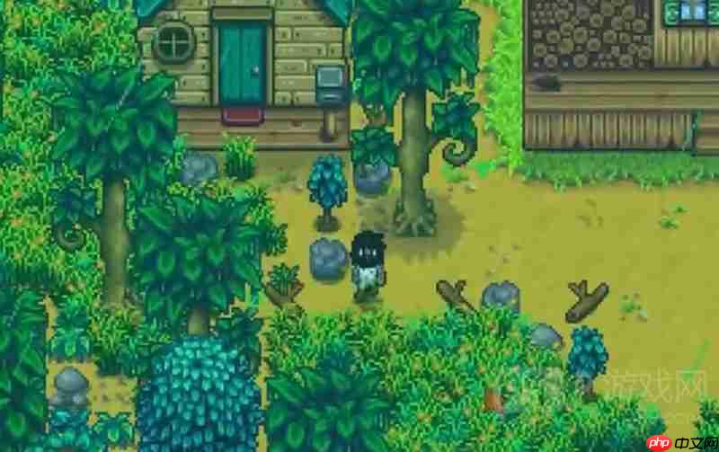 《星露谷物语》绿雨事件介绍 第2张 《星露谷物语》绿雨事件介绍 第2张