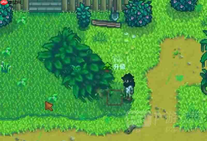 《星露谷物语》绿雨事件介绍 第3张 《星露谷物语》绿雨事件介绍 第3张