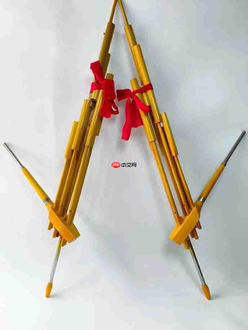 非遗小知识以下哪一项是苗族最有代表性的民族乐器  第1张