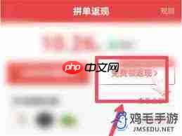 拼多多下单返现如何领取 第2张 拼多多下单返现如何领取 第2张