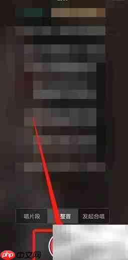 一路生花演唱技巧解析  第4张