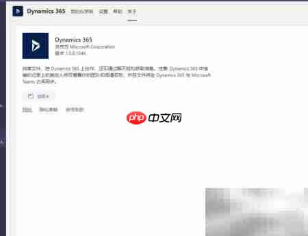 如何在Teams中集成Dynamics 365  第8张