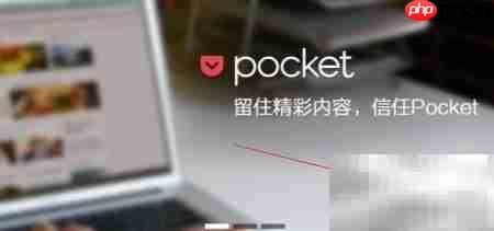 浏览器使用Pocket指南  第1张
