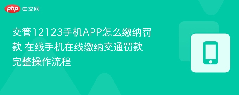 交管12123手机APP怎么缴纳罚款 在线手机在线缴纳交通罚款完整操作流程  第1张