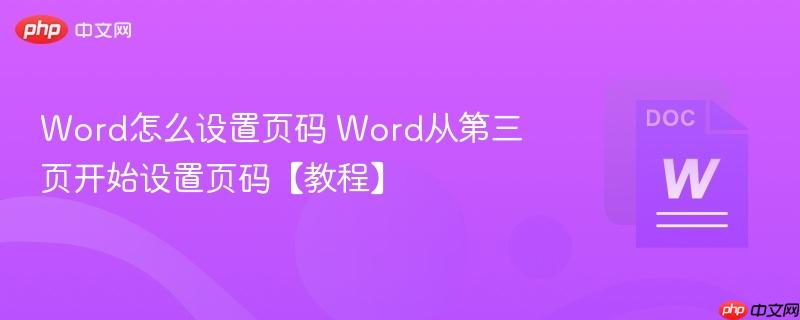 Word怎么设置页码 Word从第三页开始设置页码【教程】
