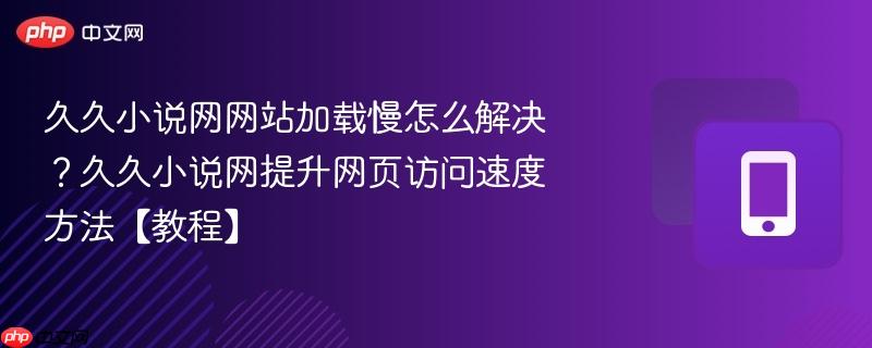 久久小说网网站加载慢怎么解决？久久小说网提升网页访问速度方法【教程】  第1张