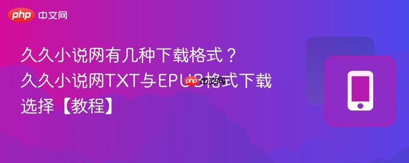 久久小说网有几种下载格式？久久小说网TXT与EPUB格式下载选择【教程】  第1张
