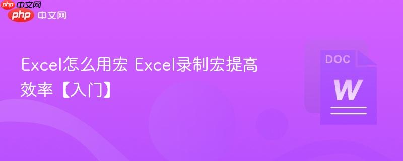 Excel怎么用宏 Excel录制宏提高效率【入门】  第1张