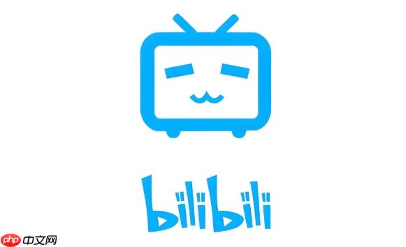 Bilibili网页版登录入口地址 Bilibili官网网页访问