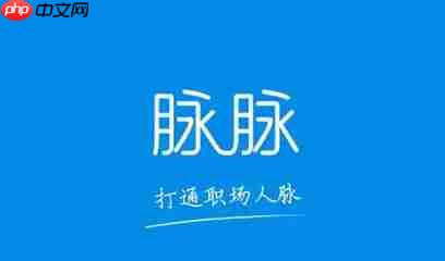 脉脉怎么开通会员？-脉脉开通会员的方法  第1张