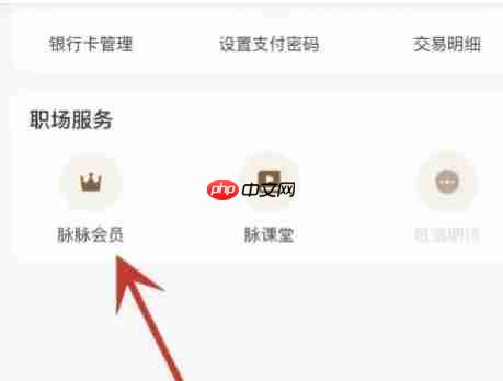 脉脉怎么开通会员？-脉脉开通会员的方法  第3张
