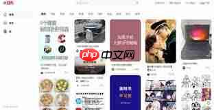 小红书网页版免登录入口在哪