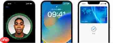 下载App时面容ID无法使用怎么办  第1张