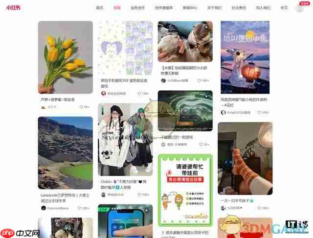 《小红书》网页版登录入口2025  第4张