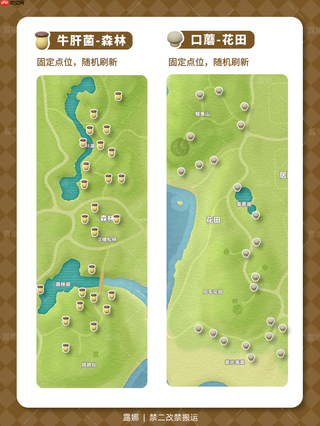 《心动小镇手游》全蘑菇位置及食谱售价说明  第3张