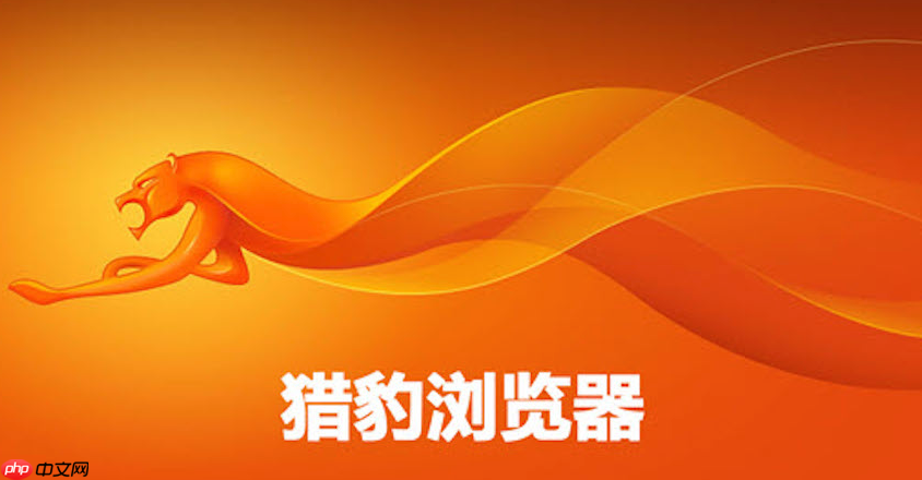 猎豹安全浏览器叫什么 猎豹安全浏览器浏览器官网入口 第1张 猎豹安全浏览器叫什么 猎豹安全浏览器浏览器官网入口 第1张