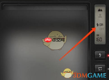 《fimo相机》闪光灯设置方法  第4张