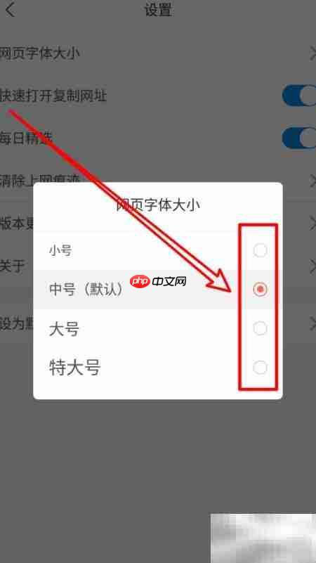 星宇浏览器字体大小设置指南 第3张 星宇浏览器字体大小设置指南 第3张