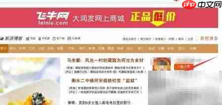 新浪微博开通博客教程 第5张 新浪微博开通博客教程 第5张