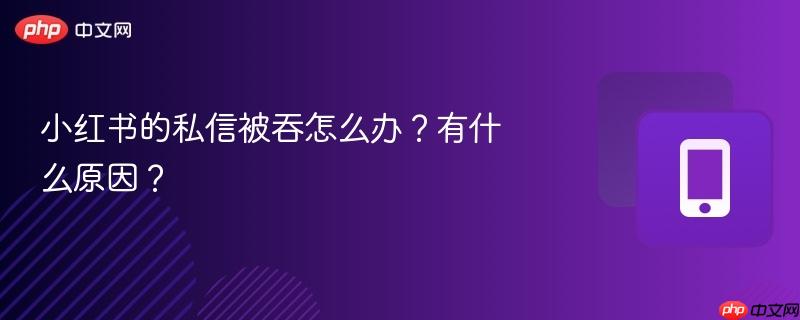 小红书的私信被吞怎么办？有什么原因？  第1张