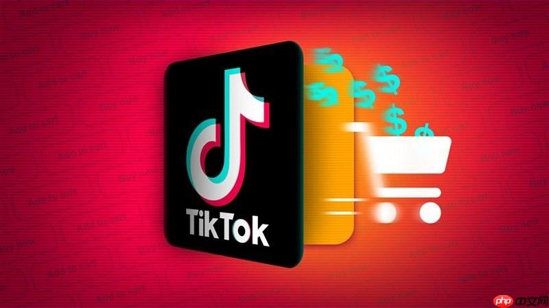 TikTok私信无法发送图片怎么办 TikTok图片消息发送优化方法  第1张