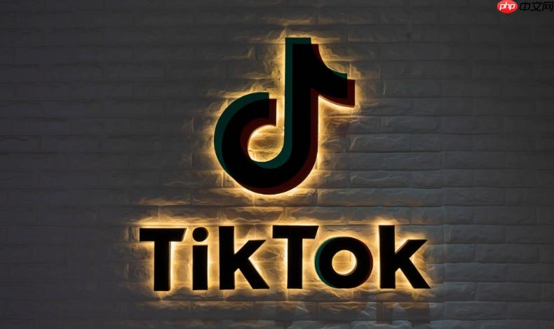 tiktok网页版登录链接 tiktok官方正版登录入口  第1张