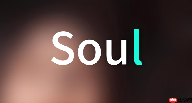 soul的“点亮”是什么意思_Soul点亮功能说明