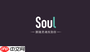 老公玩soul算出轨行为吗  第2张