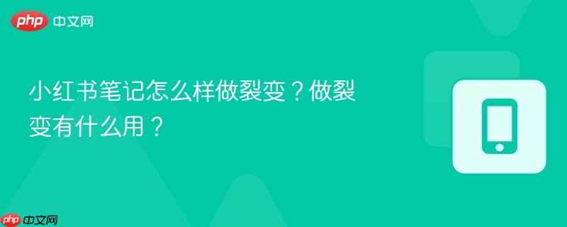 小红书笔记怎么样做裂变？做裂变有什么用？  第1张