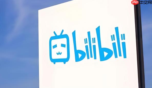 哔哩哔哩怎么设置账号绑定手机号_B站手机号绑定与安全验证设置教程  第1张