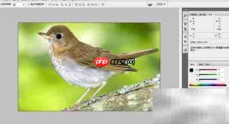 PS设计精美图片技巧  第1张