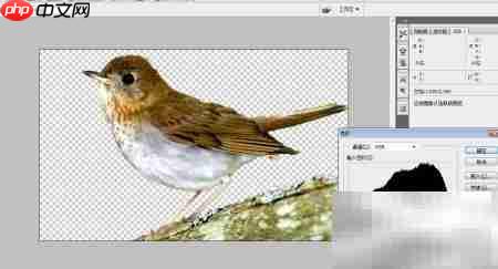 PS设计精美图片技巧  第3张