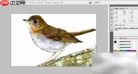 PS设计精美图片技巧  第5张