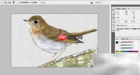 PS设计精美图片技巧  第2张